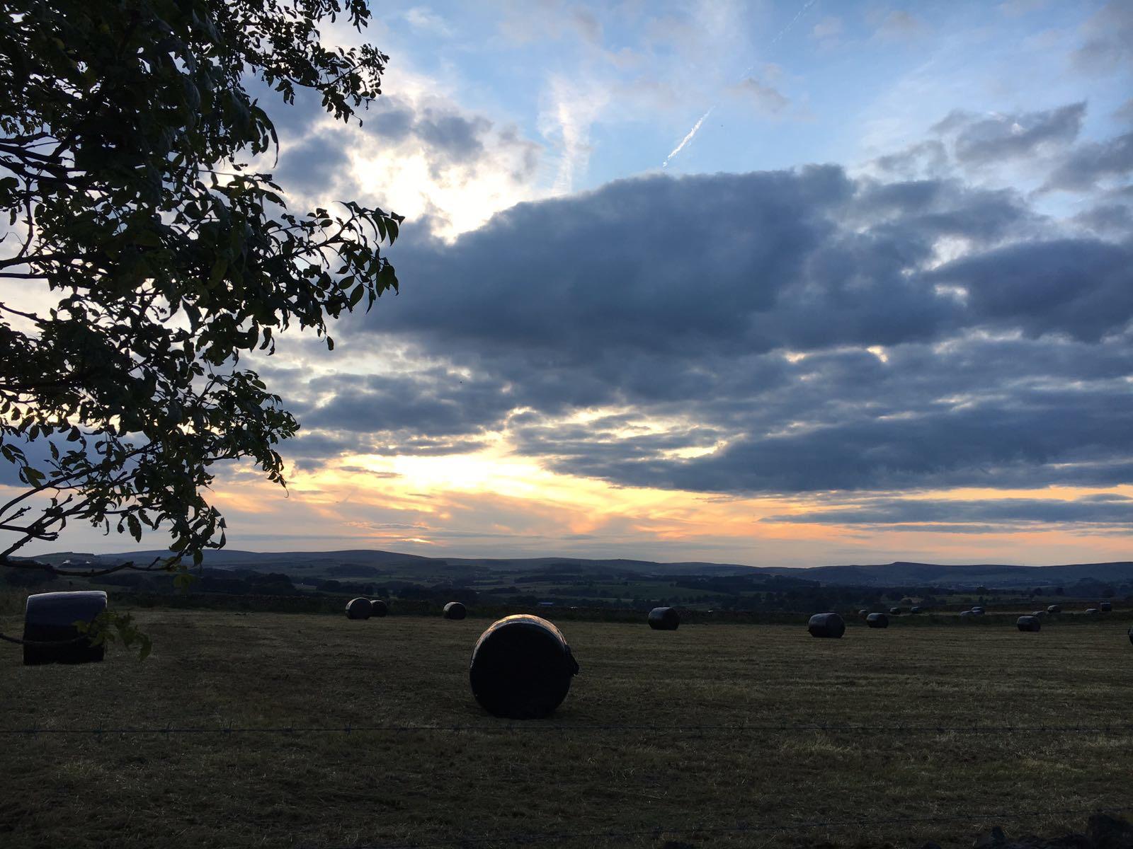 PHOTO-2024-06-28-11-46-10 9